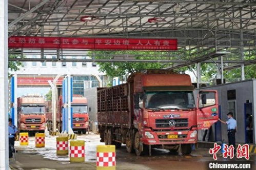 中緬邊境章鳳口岸2024年進出口貨物量突破52萬噸，國內貿易代理作用顯著