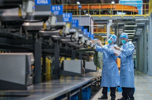 上海外貿韌性強勁 上半年走出V型修復態勢，國內貿易代理持續發力