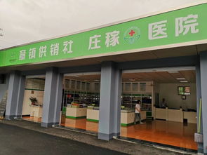 向“供”而行，解“銷”困惑——全國供銷社代表在紹興物資供銷的現場見聞